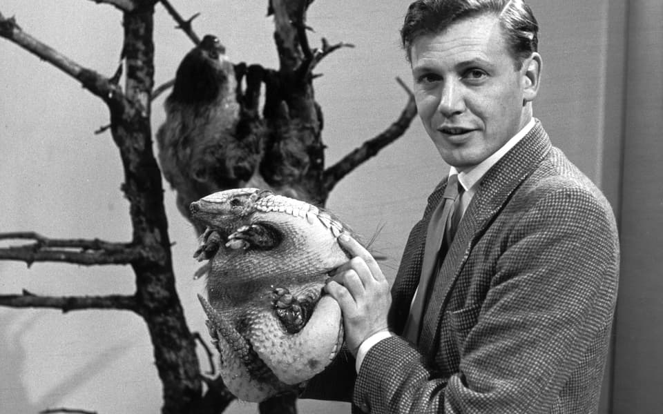 Attenborough: 60 Years in the Wild